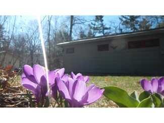11 Gary Rd, Dunbarton, NH 03046