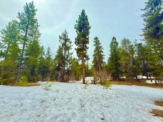 TBD Finn Church Ln, McCall, ID 83638