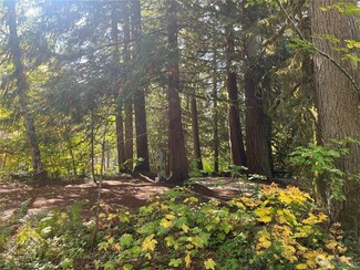 45297 Kamooks Trail Unit 2D21, Concrete, WA 98237