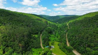 5111 Mcmaster Rd, Cameron, NY 14819