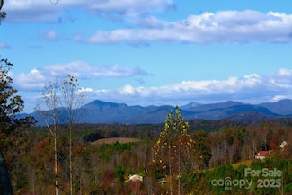 488 Moonlight Pass, Union Mills, NC 28167