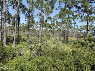 Lot 6 Sr 30-A, Cape San Blas, FL 32456