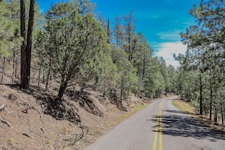 Tract B2 Agua Chiquita Rd, Sacramento, NM 88347
