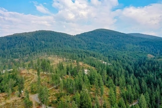 31xxx N South Jackson Rd, Elk, WA 99156