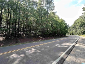 3400 15th Street Rd Unit 29, Bessemer, AL 35023