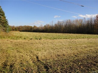 2539 Coomer Rd, Burt, NY 14028