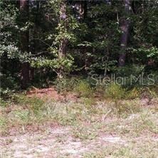 0 SE 128th St, Belleview, FL 34420