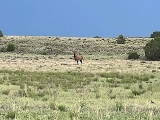 0 Cerro Alto Rd, Ramah, NM 87321