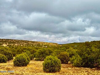 0 Cr 8256 Lot C 10 Acres, Concho, AZ 85924