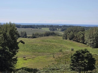 0 Valleyview Ridge Unit Parcel T, Manistee, MI 49660