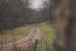16431 Wallace Hollow Rd, Silver Point, TN 38582