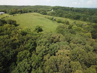 9.593 Acres Trigg Tower Rd, Simpson, IL 62985