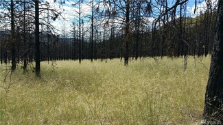 191 Jason Lucas Rd, Methow, WA 98846