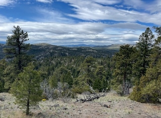 100 Dryfork Ln, Cascade, MT 59421