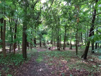 Lot 47 Linksview Way, Butman Township, MI 48624