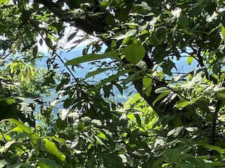 Lot 10 Brasstown Rd, Murphy, NC 28906