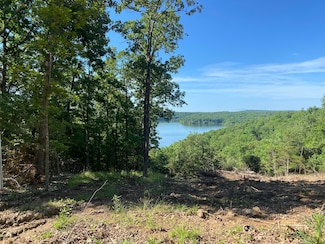 000 Driftwood, Theodosia, MO 65761