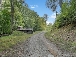 520 Howell Branch Rd, Green Mountain, NC 28740