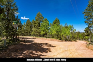 648 Pinon Ln, Florissant, CO 80816