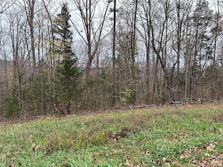 Lot 17 Cheyenne Dr, Jamestown, TN 38556