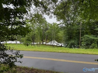 10 County Road 48, Cedar Bluff, AL 35959