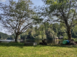 71364 N Shore Dr, Birkenfeld, OR 97016