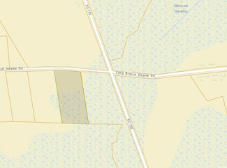 TBD Long Branch Swamp Rd Unit Lot 2, Green Sea, SC 29545