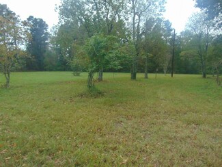 1389 Burns Rd, Huntington, TX 75949