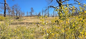 Lot 1684 Emery Loop, Fort Garland, CO 81133
