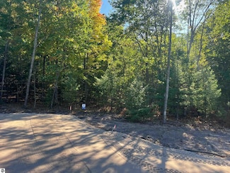 4655 Leaning Birch Dr, Traverse City, MI 49685