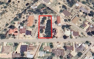 000 Alamo Rd, Roma, TX 78584