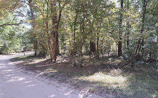 TBD SW Santa fe Dr, Fort White, FL 32038