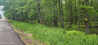 0 Oley Valley Rd, White Haven, PA 18661