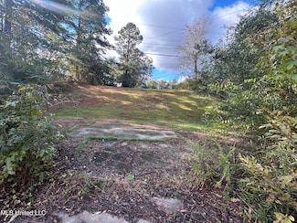 106 Pine Dr, Winona, MS 38967