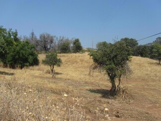 0 State Highway 26 Unit 222124006, Mokelumne Hill, CA 95245