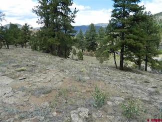 0534 Church Creek Dr, South Fork, CO 81154