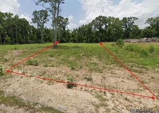 38354 N Robert Wilson Rd, Gonzales, LA 70737