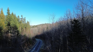 M5 L46D Black Bear Ave, Upper Frenchville, ME 04745