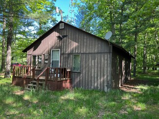 8946 W Elbow Dr, Irons, MI 49644