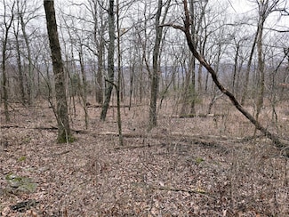 19743 Hale Mountain Rd, Canehill, AR 72717