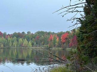 on E Hawk Lake Rd, Marenisco, MI 49947