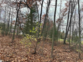 3203 Cecil Rd, Haring Charter Township, MI 49601