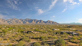 1906 W Mountain Mirage Place Unit 161, Oro Valley, AZ 85755