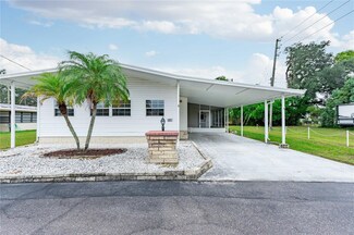 5217 Jo St, Zephyrhills, FL 33542