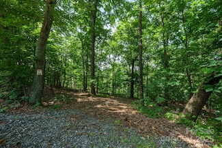 00 Hendren Rd, Moravian Falls, NC 28654
