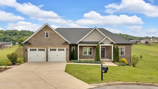1311 Little Shadden Way, Johnson City, TN 37615
