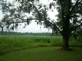 136 Lyerly Rd, Hemingway, SC 29554