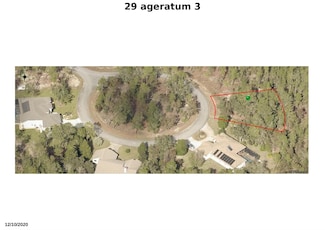 29 Ageratum Ct, Homosassa, FL 34446