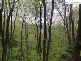 TBD Big Windfall Rd, Lansing, NC 28643