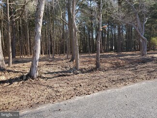 0 Cedar Landing Dr Unit MDSO101832, Marion, MD 21838
